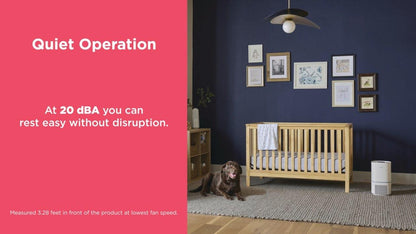 Frigidaire FHAP1040A1 PureA300™ HEPA Air Purifier with WiFi