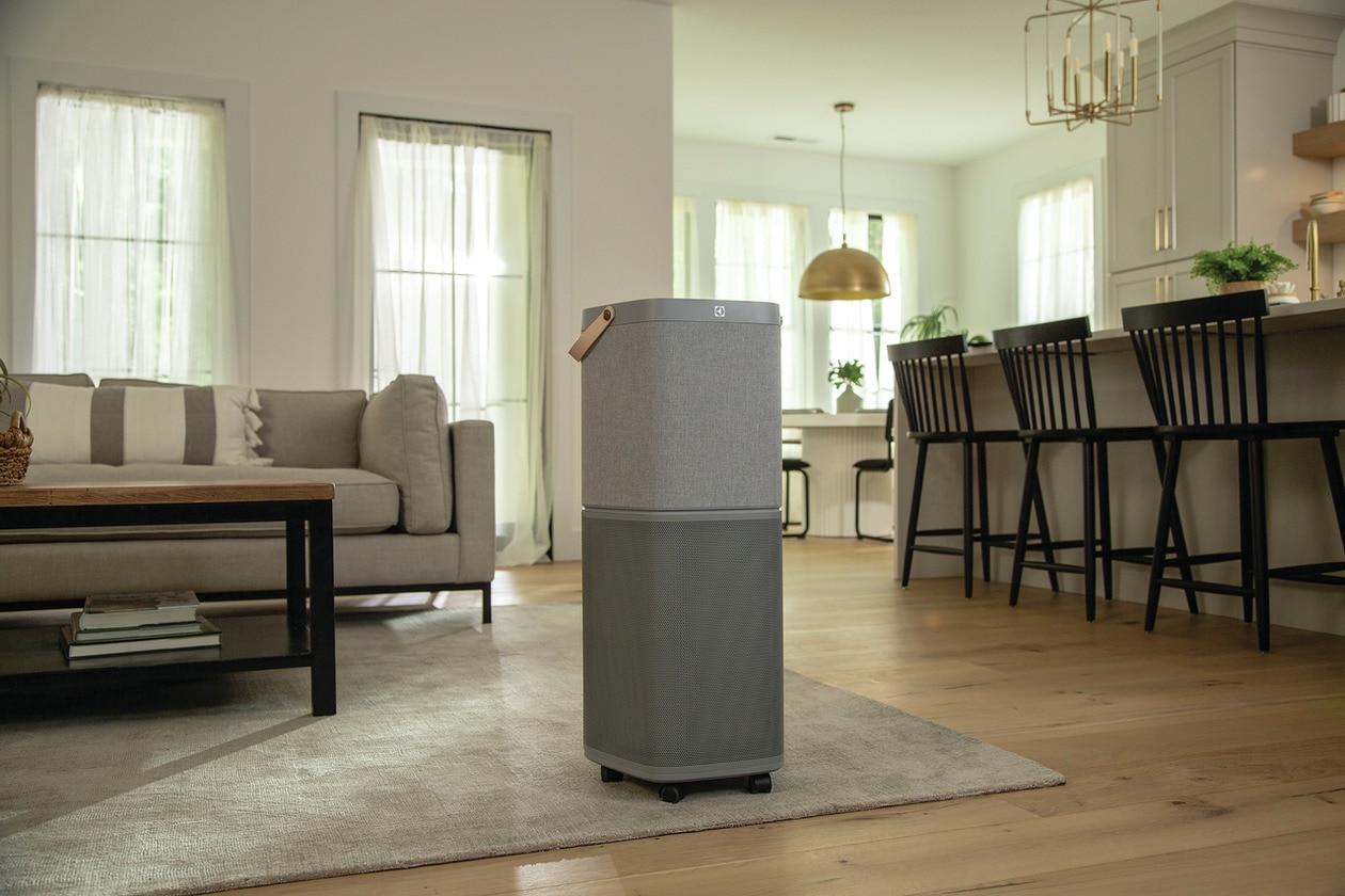 Electrolux EHAW6020AG 401 Sq. Ft. Air Purifier