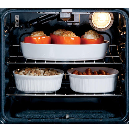 JRP20WJWW GE® 24 Electric Single Self-Cleaning Wall Oven